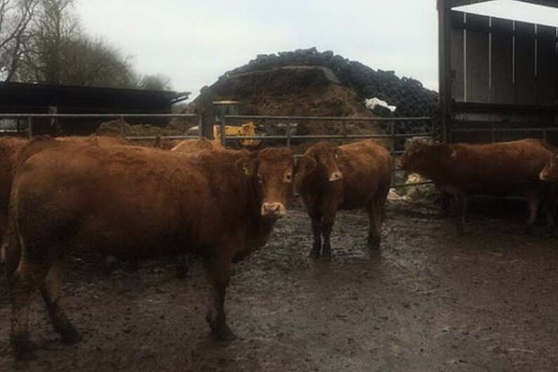 Marts to reopen for in-person trading in mid May