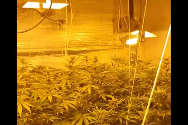 'Sophisticated' cannabis grow house discovered in Leitrim as Garda chief reveals increased drug driver arrests