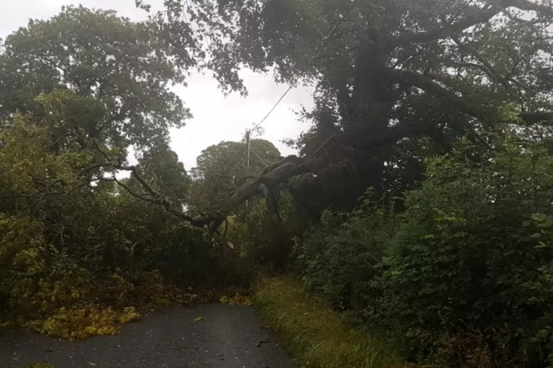 Athlone and Longford badly affected as Storm Ellen wrecks havoc on electricity network