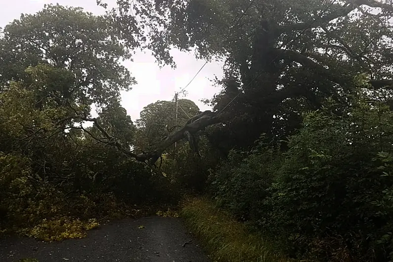 Leitrim councillor calls for urgent meeting with forestry minister Michael Healy-Rae