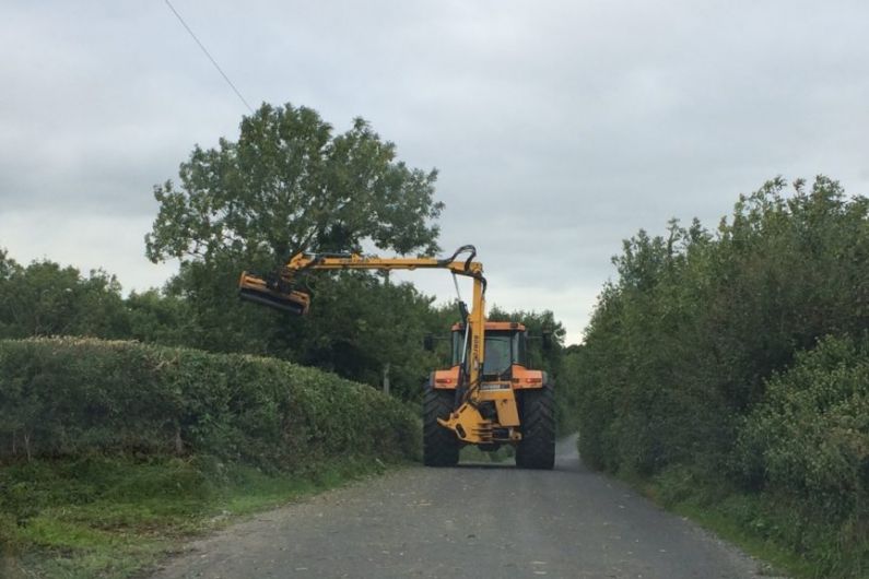 Leitrim councillor wants forestry owners to cut overgrown roadside hedges