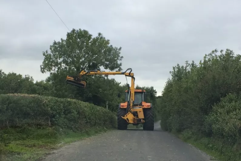 Hedge cutting grant must be increased for Leitrim farmers says local Councillor