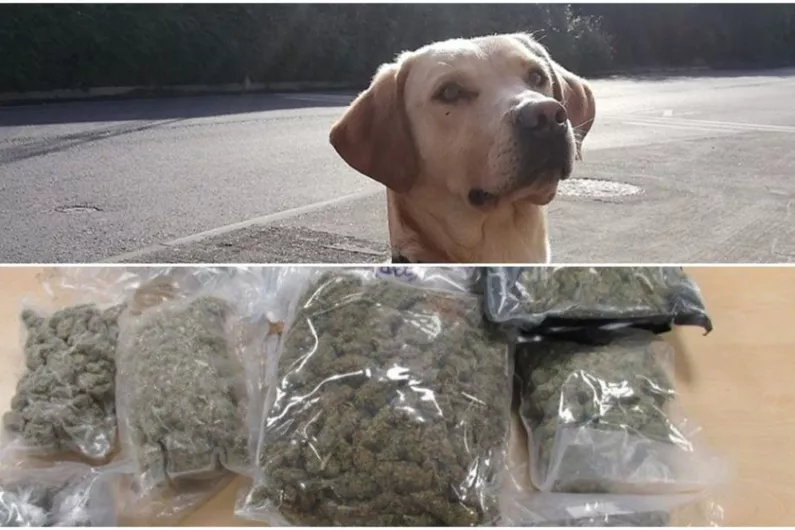 Dog detects &euro;38,000 worth of drugs in parcels at Athlone Mail Centre