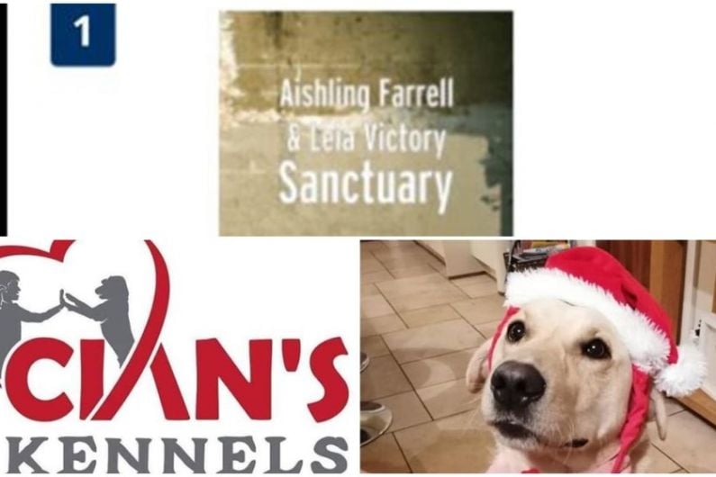 Longford family thank public for helping Cian's Kennels single reach Christmas number one