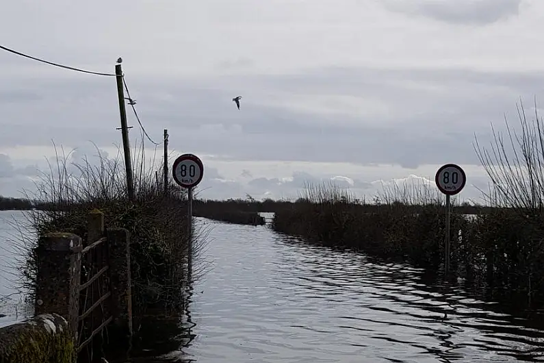 Sinn Fein says government support Shannon Management Agency is diluted with 9 month postponement