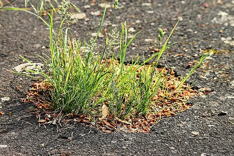 Risk assessments may be needed before Leitrim potholes are fixed during lockdown