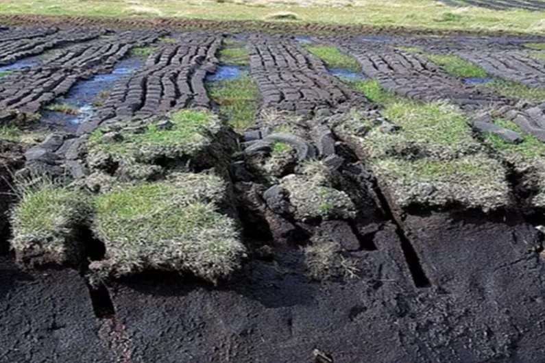 Local TD brands turf ban as shortsighted amidst energy crisis