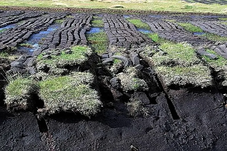 Local TD brands Bord na M&oacute;na decision over peat harvesting 'a betrayal'