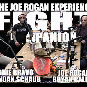 Fight Companion - May 16, 2020 Image