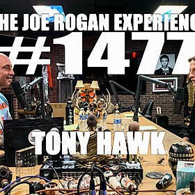 #1477 - Tony Hawk Image