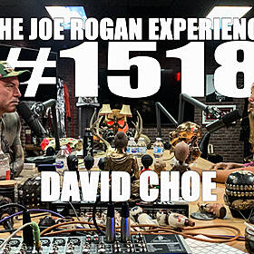 #1518 - David Choe Image