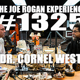 #1325 - Dr. Cornel West Image