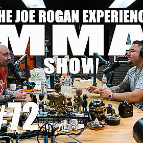 JRE MMA Show #72 with Andy Ruiz Image