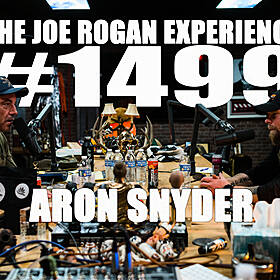#1499 - Aron Snyder Image