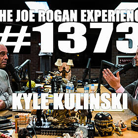 #1373 - Kyle Kulinski Image