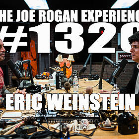 #1320 - Eric Weinstein Image