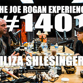 #1401 - Iliza Shlesinger Image