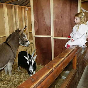 Live crib at the Mansion House 'will be missed by a lot of people ...