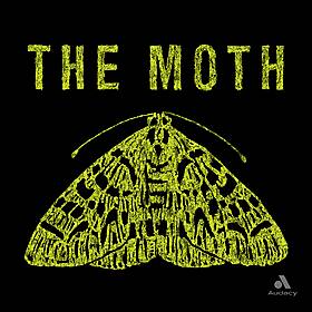 The Moth Podcast: March Madness Image