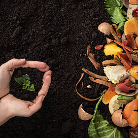 The great food rescue Image