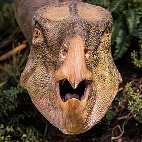 The day the dinosaurs died Image