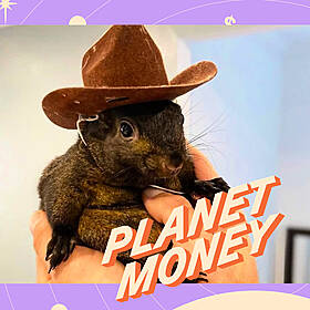The Parable of Peanut the Memecoin Image