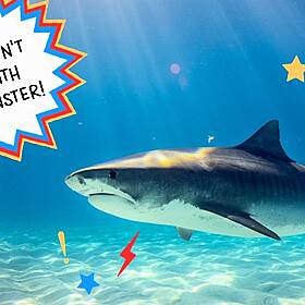 Megalodon't Mess with this Monster! Image