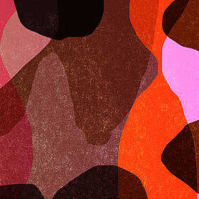 The Rise Of The BBL Image