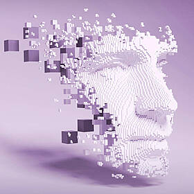 What's In A Face Image
