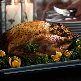 Thanksgiving edition: Songs about your family Image