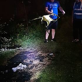 Homeless Couple In Phoenix Park Are Attacked By Thugs Image