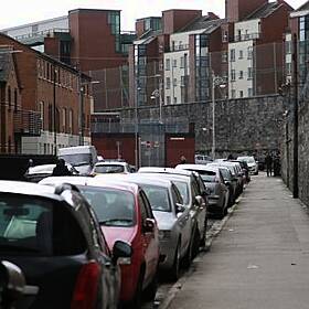 Dublin City Councillor Claims Rat Problem Is Out Of Control in City Image