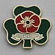 Would you wear the Irish Poppy?