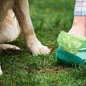 If You Don't Scoop Your Dogs Poop Then You Have To Listen To This Image