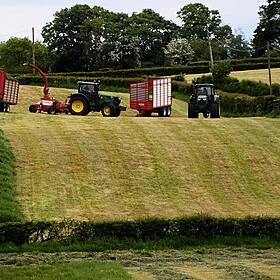 Are Farmers Doing Enough To Be Green ? Image