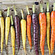 Adrian's Mind Blown By Bizarre Carrot Fact On Dublin Talks Today