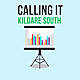 Calling It: Kildare South