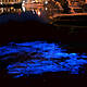 Bioluminescence