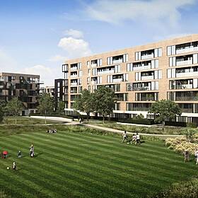 Lovers Of St Anne's Park Furious Over Housing Development Getting Go Ahead Image
