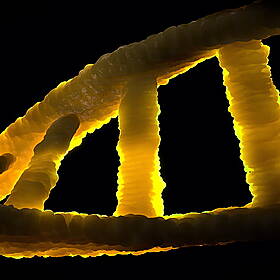 The Genetic Mistakes That Could Shape Our Future Image