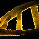 The Genetic Mistakes That Could Shape Our Future