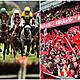 Gift Grub: Gripping Sporting Commentary From The Four Corners Of Ireland