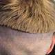 Dublin Mum Uses Family Dogs Razor To Cut Her Child's Hair!
