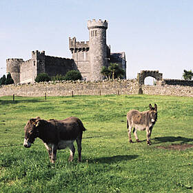 Can Ireland’s tourist industry bounce back in the post Covid world? Image