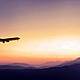 Flights to Nowhere!