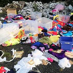 Lucan Performing Arts School Costumes Destroyed By Vandals Image