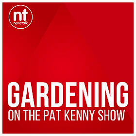 Gardening on Pat Kenny Image
