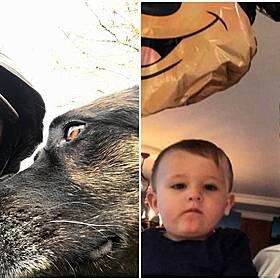 Gift Grub: Roy Keane Is Now A Viral Instagram Hun Image