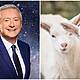 Gift Grub: Introducing Louis Walsh The Goat Hunter
