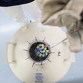 Countdown: The Human Race's Troubling Decline in Fertility Image